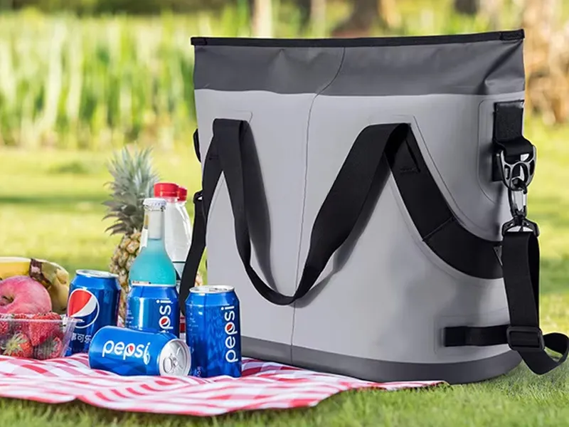 Улогата на кесите со мраз во кампување